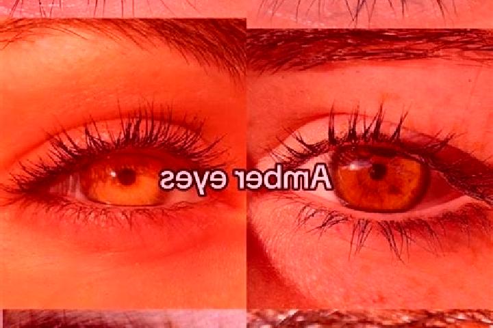 Addison, 30, a brunette amber-eyed caucasian companion based in Laugna. Offering Dinner Date, Striptease, Overnight, A-Level, Massage. Available for incall a...