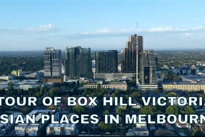 Addison, 30 — Escort in Box Hill South, Australia