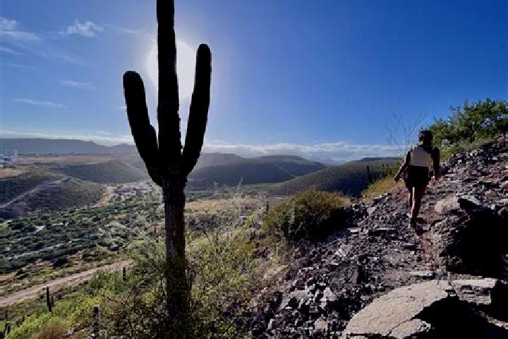 Addison, 30 — Escort in Cerro de la Esperanza, Mexico