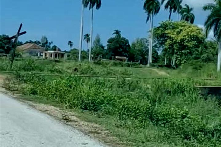 Addison, 30 — Escort in Corralillo, Cuba