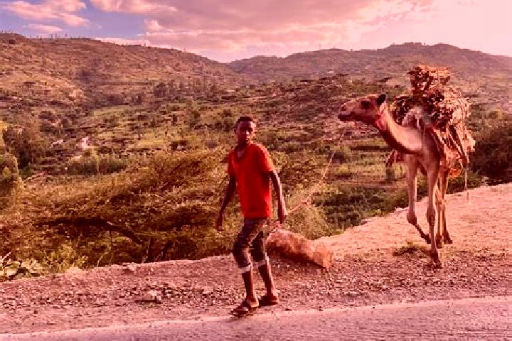 Addison, 30 — Escort in Dire Dawa, Ethiopia
