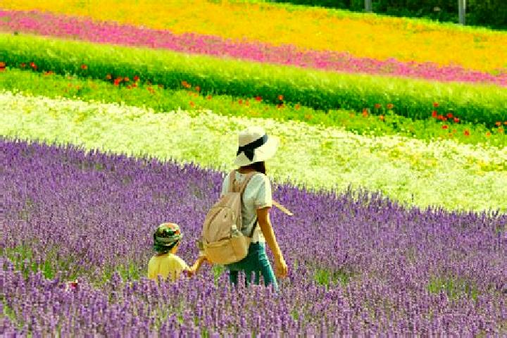 Addison, 30 — Escort in Furano, Japan