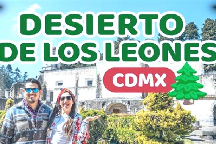 Addison, 30 — Escort in Mesa de los Leones, Mexico
