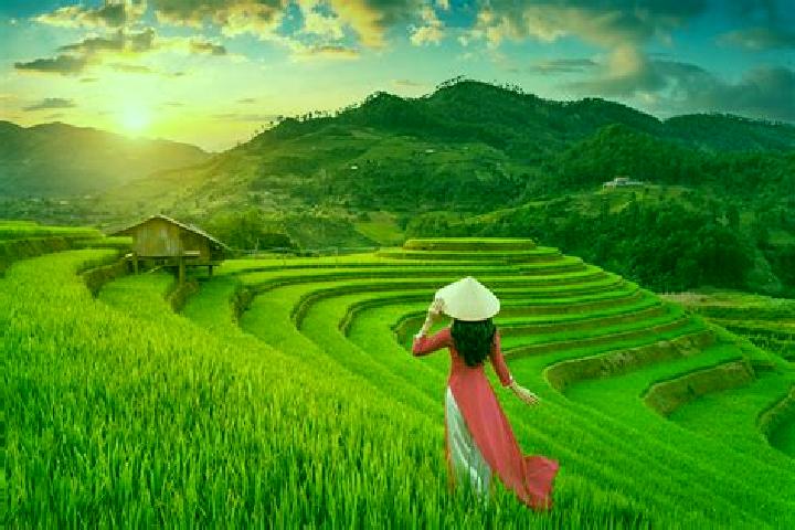 Addison, 30 — Escort in Mu Cang Chai, Vietnam