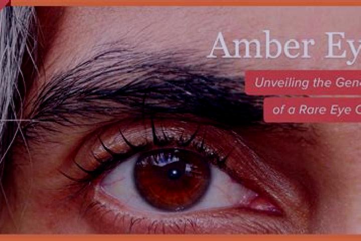 Addison, 31, a black amber-eyed european companion based in Pullo. Offering Domination, Prostate Massage, 69. Available for incall and outcall, overnight boo...