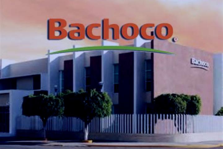 Addison, 31 — Escort in Bachoco, Mexico