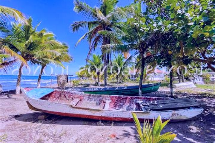 Addison, 31 — Escort in Baracoa, Honduras