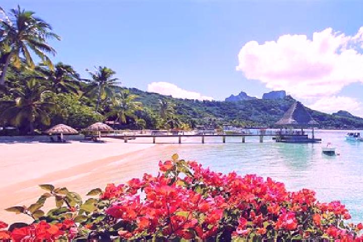 Addison, 31 — Escort in Fare, French Polynesia