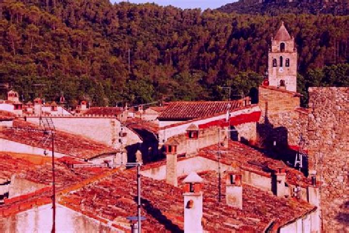 Addison, 31 — Escort in Sant Llorenc d Hortons, Spain