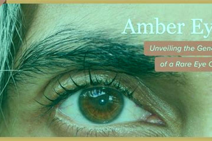 Addison, 32, a red amber-eyed mediterranean companion based in Unterperfuss. Offering Domination, Duos. Available for incall and outcall, day and evening dates.