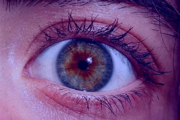 Addison, 32, a red hazel-eyed middle eastern companion based in Gasteiz / Vitoria. Offering Party Girl, GFE, Overnight, Fetish. Available for incall and outc...