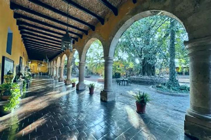 Addison, 32 — Escort in Pochotillo, Mexico