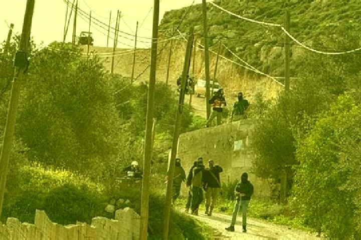 Addison, 32 — Escort in Talfit, Palestine