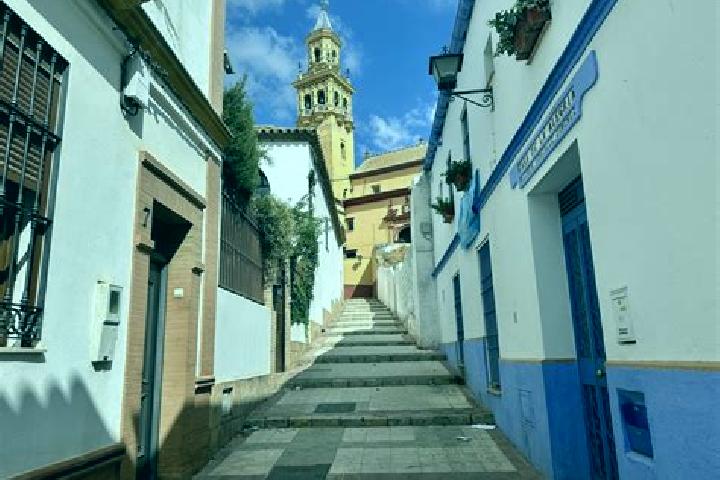 Addison, 33 — Escort in Alcala de Guadaira, Spain