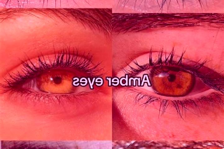 Addison, 34, a brunette amber-eyed asian companion based in Caucagua. Offering Party Girl, Domination, Travel Companion, OWO. Available for incall and outcal...
