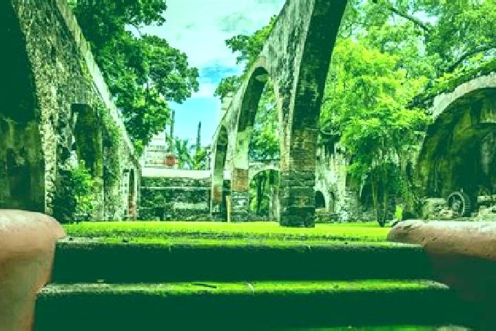Addison, 34 — Escort in Chiconcuac, Mexico