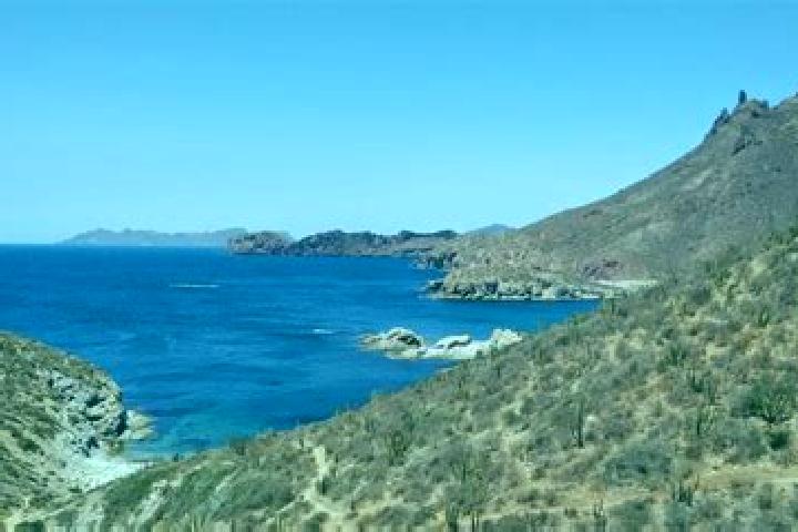 Addison, 34 — Escort in El Carricito, Mexico