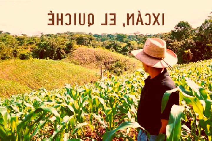 Addison, 34 — Escort in El Ixcan, Mexico