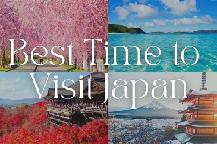 Addison, 34 — Escort in Hitachi-Naka, Japan