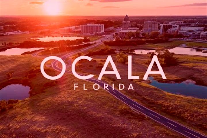 Addison, 34 — Escort in Ocala, United States