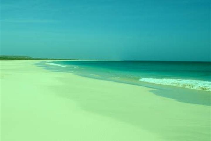 Addison, 34 — Escort in Ponta de Agua, Cape Verde