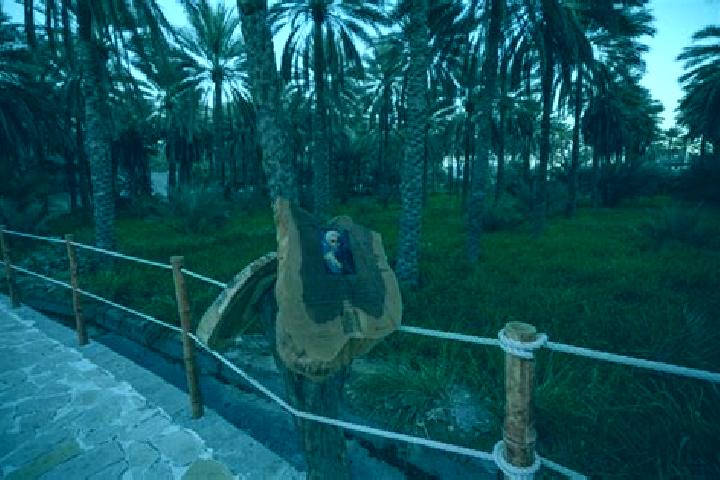 Addison, 34 — Escort in Sama il, Oman