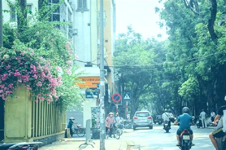 Addison, 34 — Escort in Van Tung, Vietnam