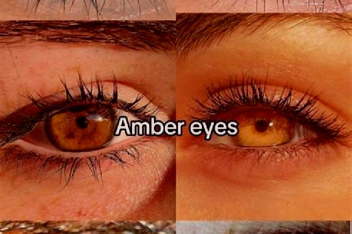 Addison, 35, a chestnut amber-eyed mixed companion based in Oeting. Offering 69, GFE. Available for incall and outcall, overnight bookings available.