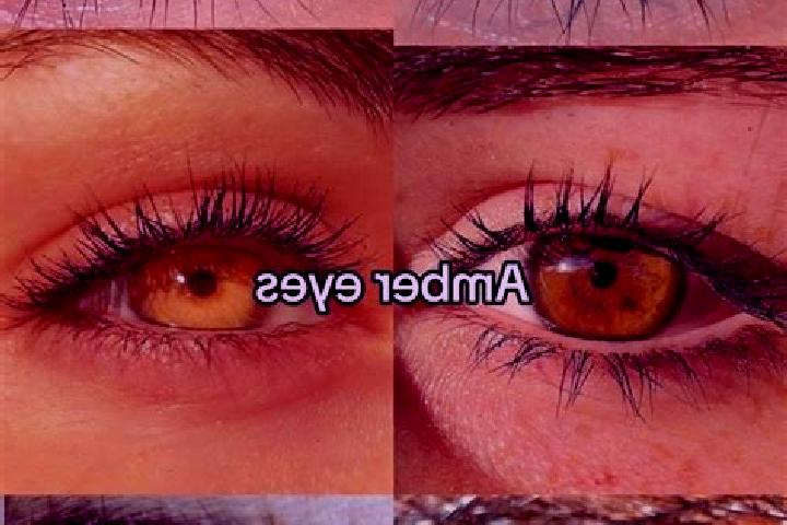 Addison, 35, a chestnut amber-eyed mixed companion based in Takoa. Offering OWO, 69, Massage, Party Girl. Available for incall and outcall, overnight booking...