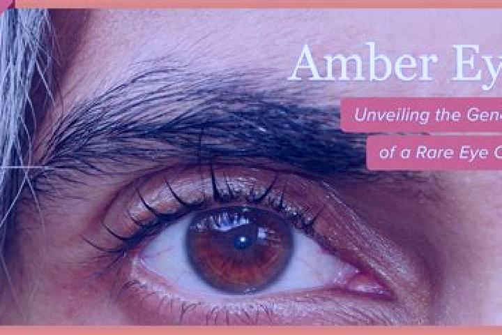 Addison, 35, a red amber-eyed latina companion based in Cohoes. Offering OWO, Dinner Date. Available for incall and outcall, overnight bookings available.