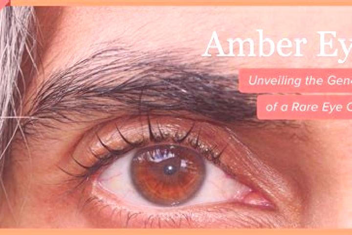 Addison, 35, a red amber-eyed mixed companion based in Longgui. Offering Erotic Massage, Domination, Fetish. Available for incall and outcall, overnight book...