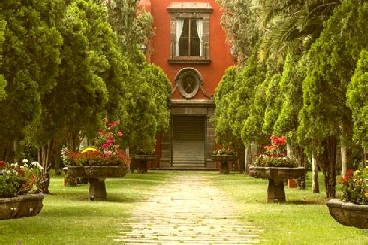 Addison, 35 — Escort in Buenavista (San Miguel), Mexico
