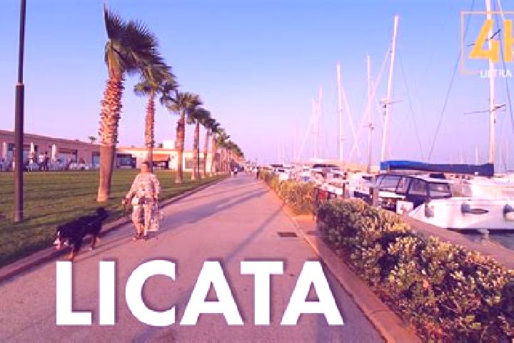 Addison, 35 — Escort in Campobello di Licata, Italy