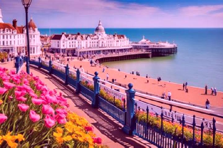Addison, 35 — Escort in Eastbourne, United Kingdom