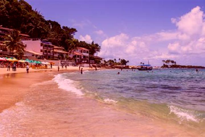 Addison, 35 — Escort in Jequia da Praia, Brazil
