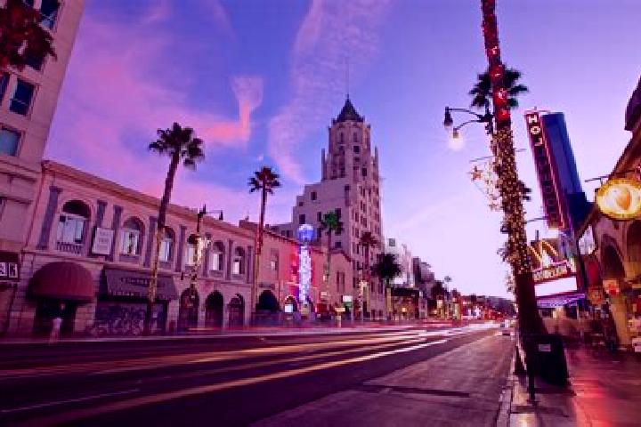 Addison, 35 — Escort in Los Ruisenores, Mexico