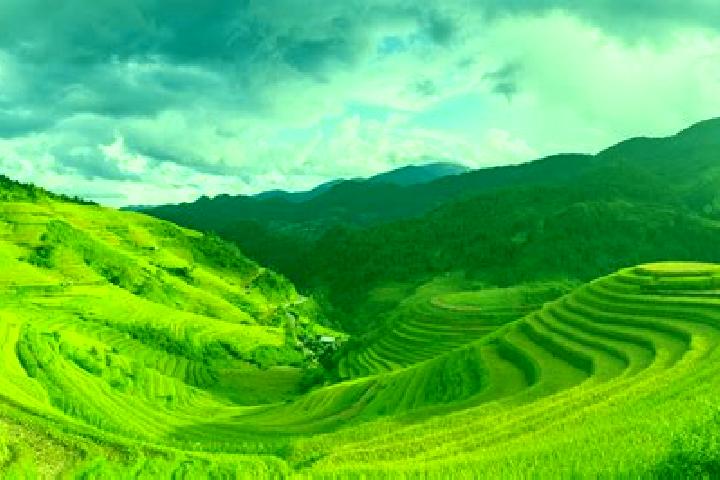 Addison, 35 — Escort in Quan GJuc Thinh, Vietnam