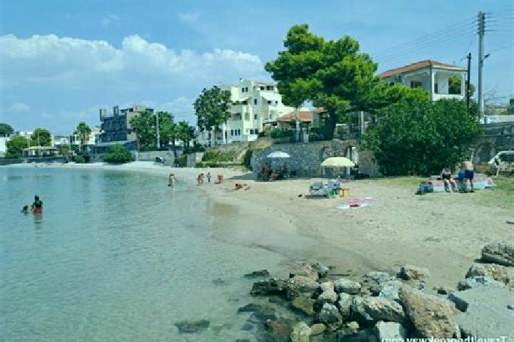 Addison, 35 — Escort in Selinia, Greece