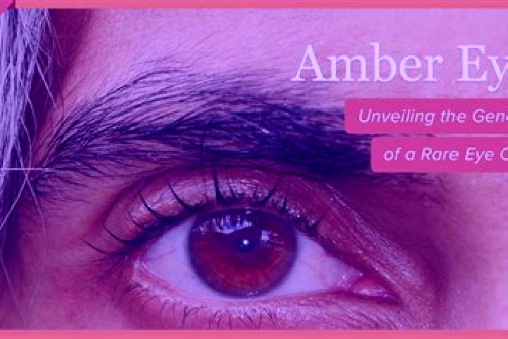 Addison, 36, a black amber-eyed middle eastern companion based in Hasle. Offering Overnight, GFE, Girlfriend Experience. Available for incall and outcall, ov...