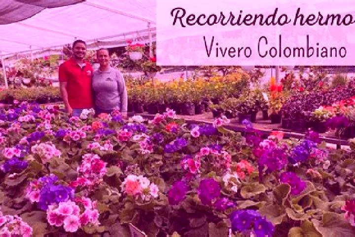 Addison, 36 — Escort in Barrio el Vivero, Mexico
