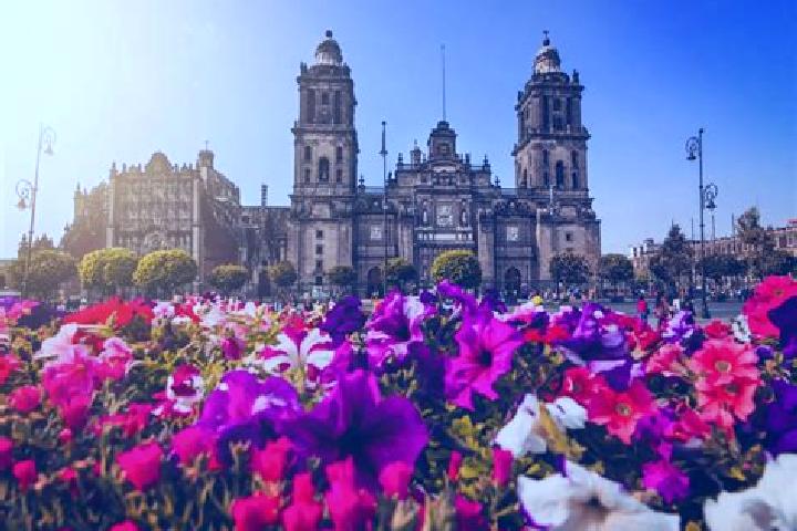 Addison, 36 — Escort in Ciudad Hidalgo, Mexico