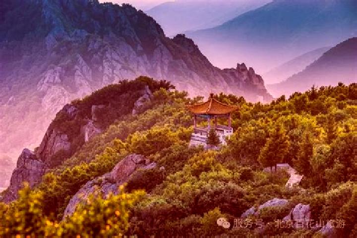 Addison, 36 — Escort in Dongling, China