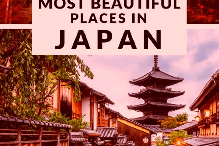 Addison, 36 — Escort in Kitasugama, Japan