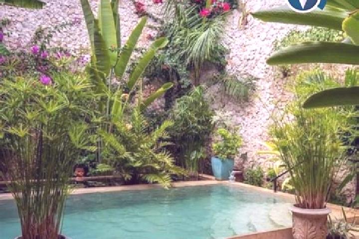 Addison, 36 — Escort in Perales, Mexico