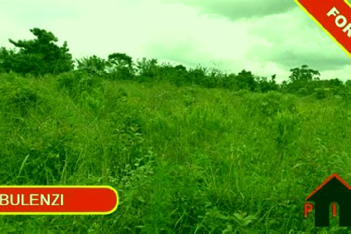 Addison, 36 — Escort in Wobulenzi, Uganda