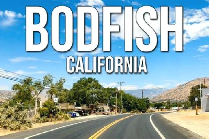 Addison, 37 — Escort in Bodfish, United States
