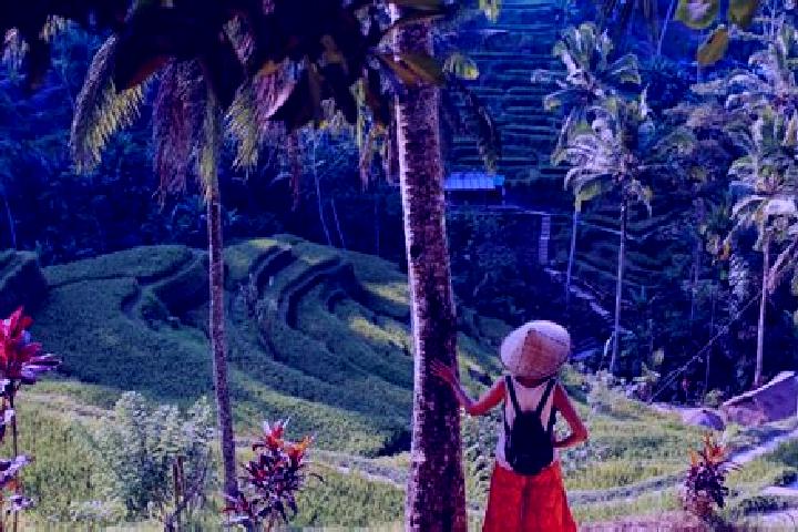 Addison, 37 — Escort in Duri, Indonesia