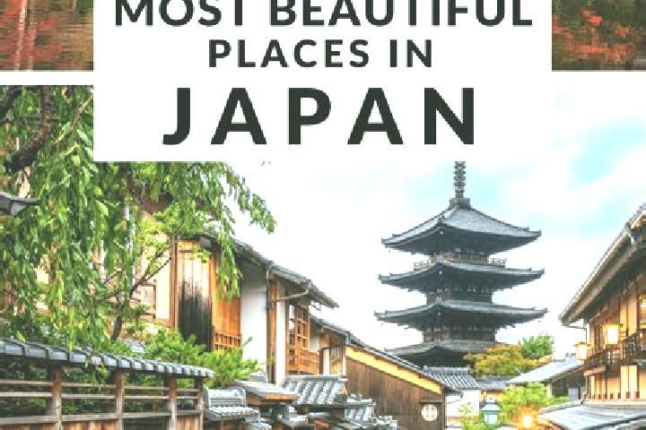 Addison, 37 — Escort in Funaishikawa, Japan