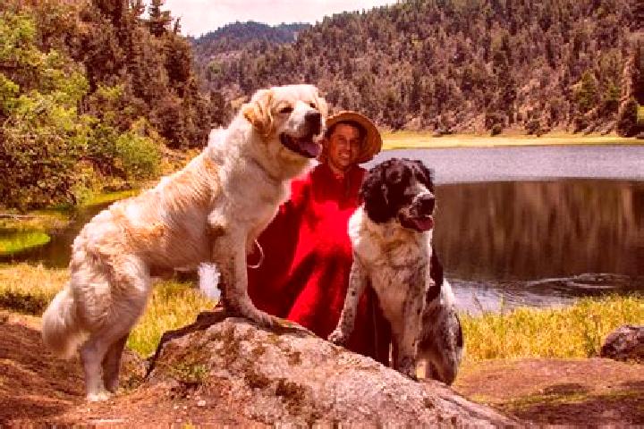 Addison, 37 — Escort in Mucuchies, Venezuela