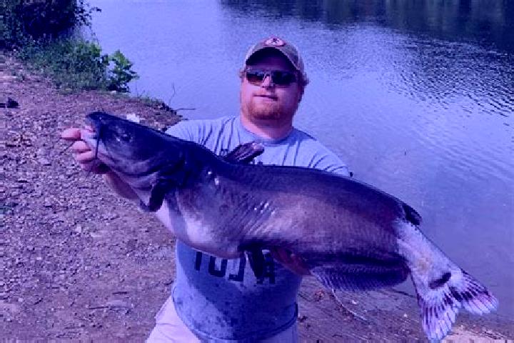 Addison, 37 — Escort in Old River-Winfree, United States
